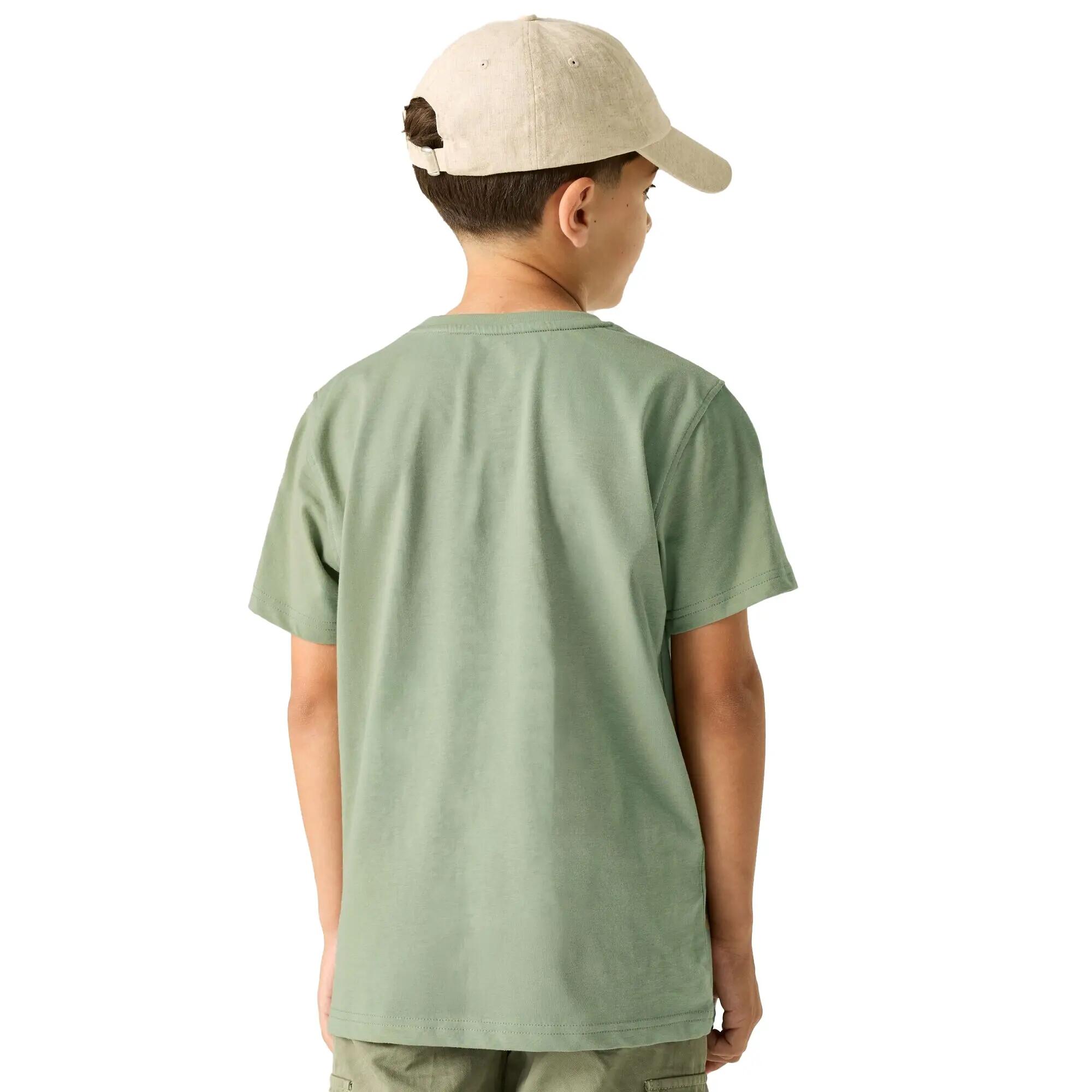 Camiseta Bosley Diseño Atardecer para Niños/Niñas Verde Sage 6/6