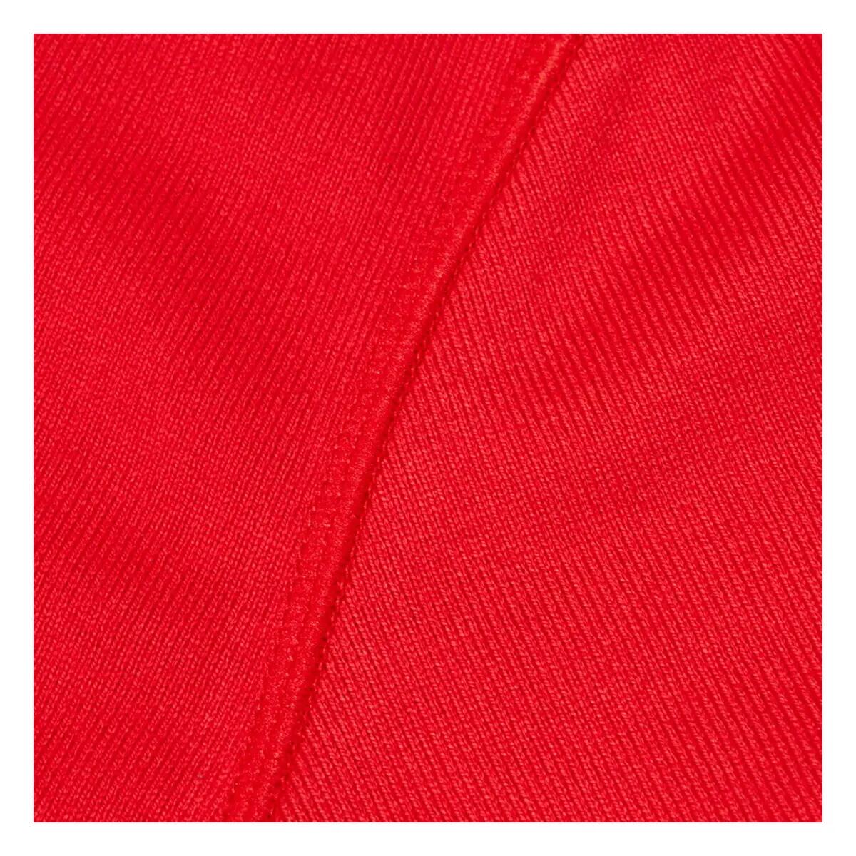Maillot Manches Longues Motif/style British & Irish Lions Adulte (Rouge) 3/5