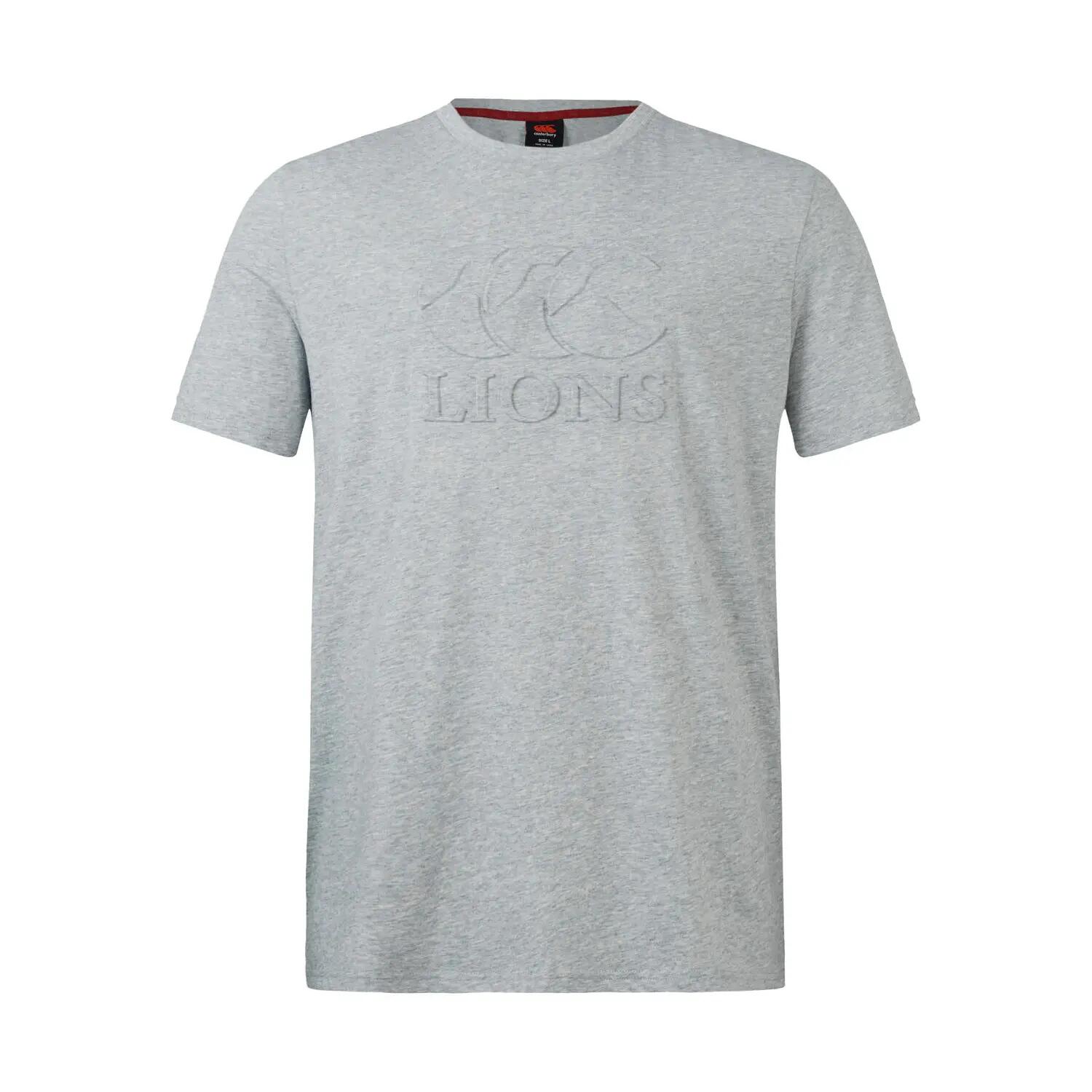 Tshirt Motif/style British & Irish Lions MONUMENT Adulte (Gris) 2/5