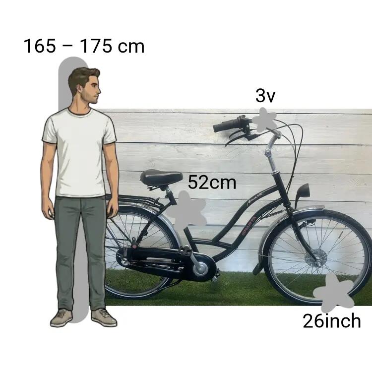 Bicicletta usata Sparta Amazone Moederfiets 2/4