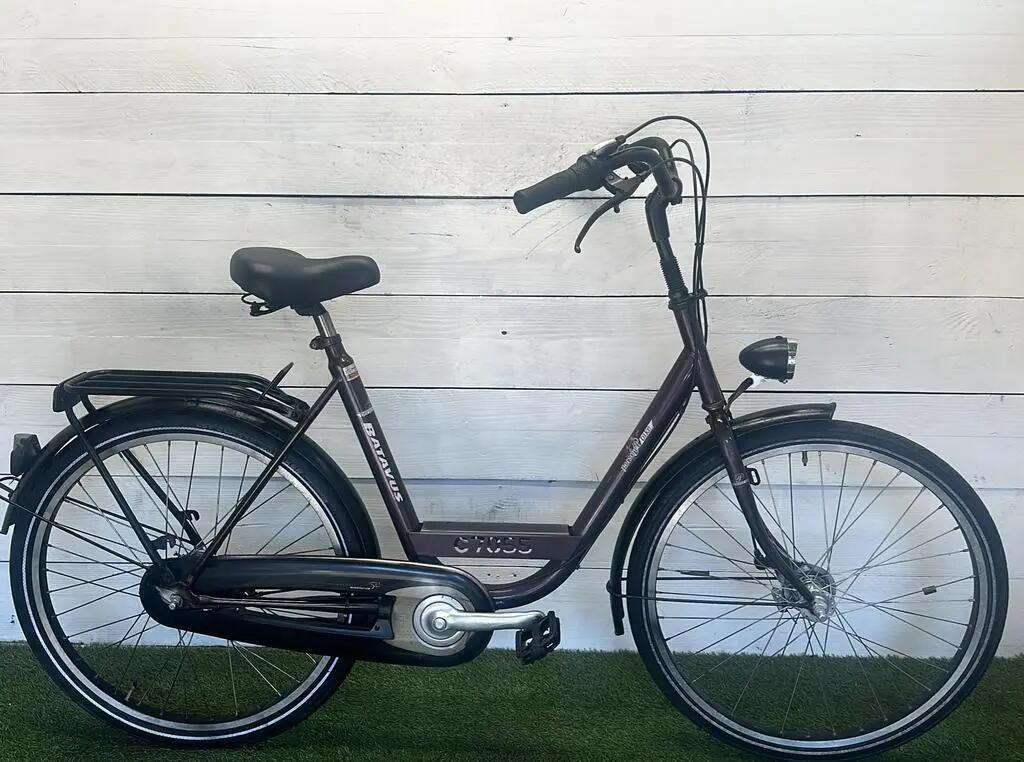 BATAVUS picture