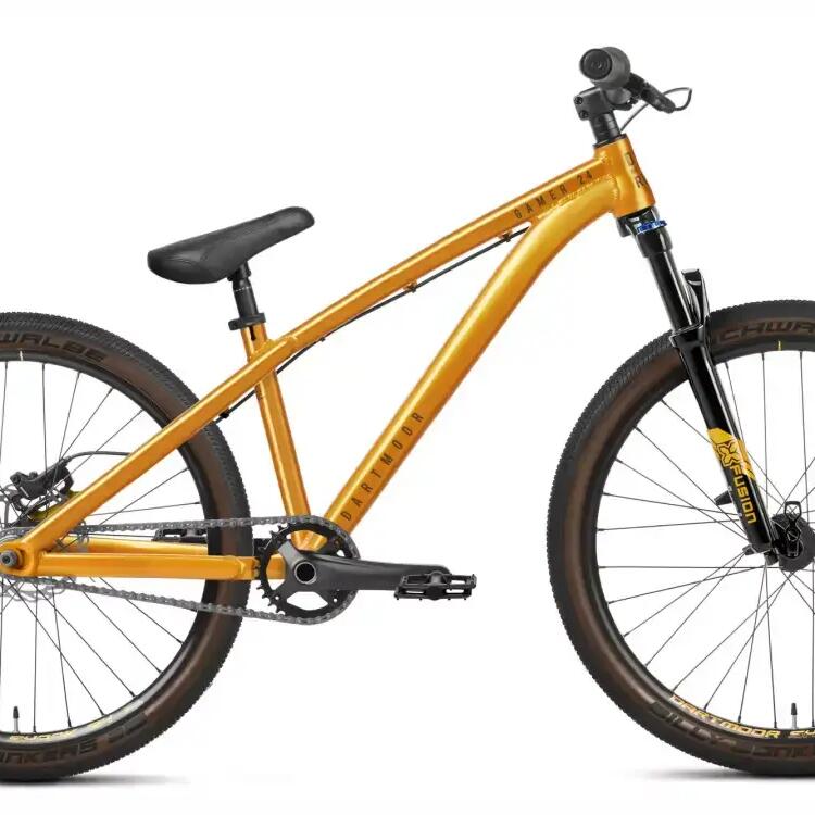 Dartmoor Gamer Pump MTB Frame
