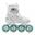 Rollers en ligne Enfant Roces Moody