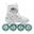 Roces Moody Tif Inline-Skates weiß/mintgrün