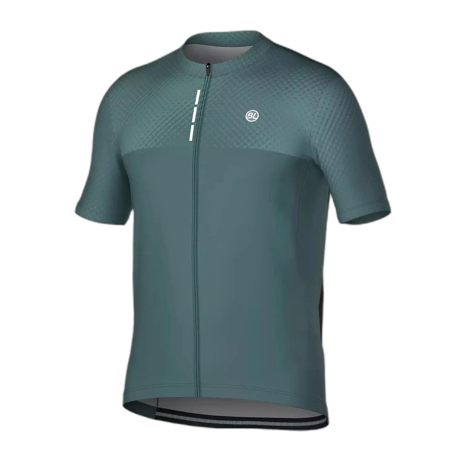 BICYCLE LINE picture