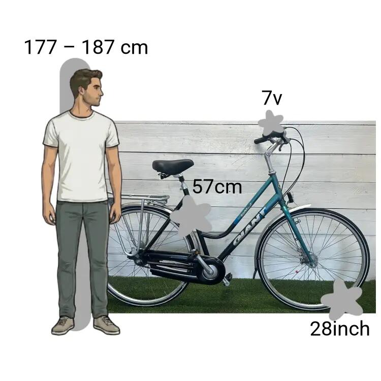 Tweedehands Giant Auckland 2/4