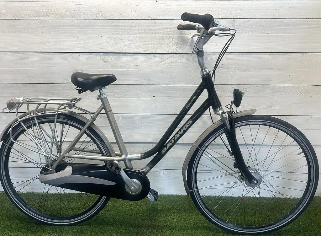BATAVUS picture