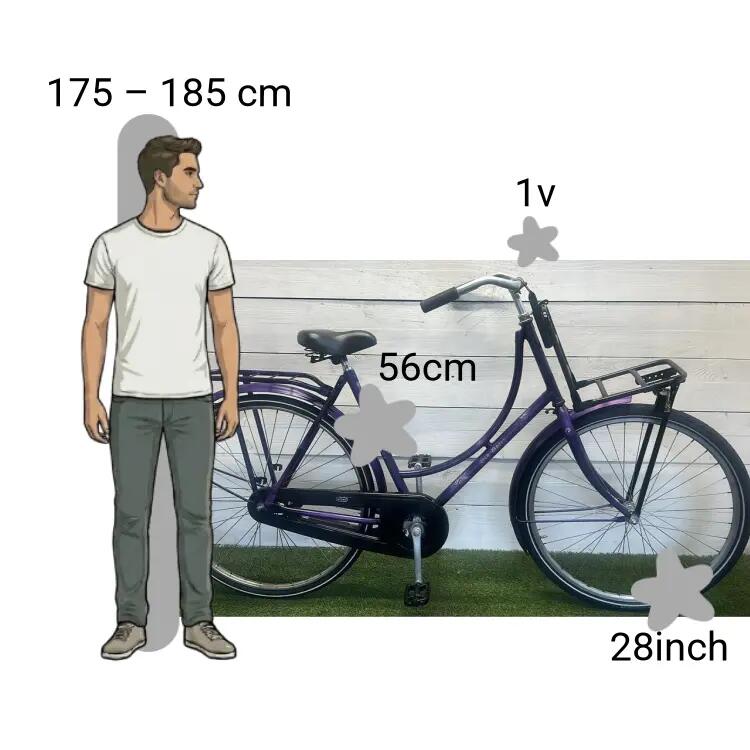 Bicicletta usata Batavus Old Dutch 2/4