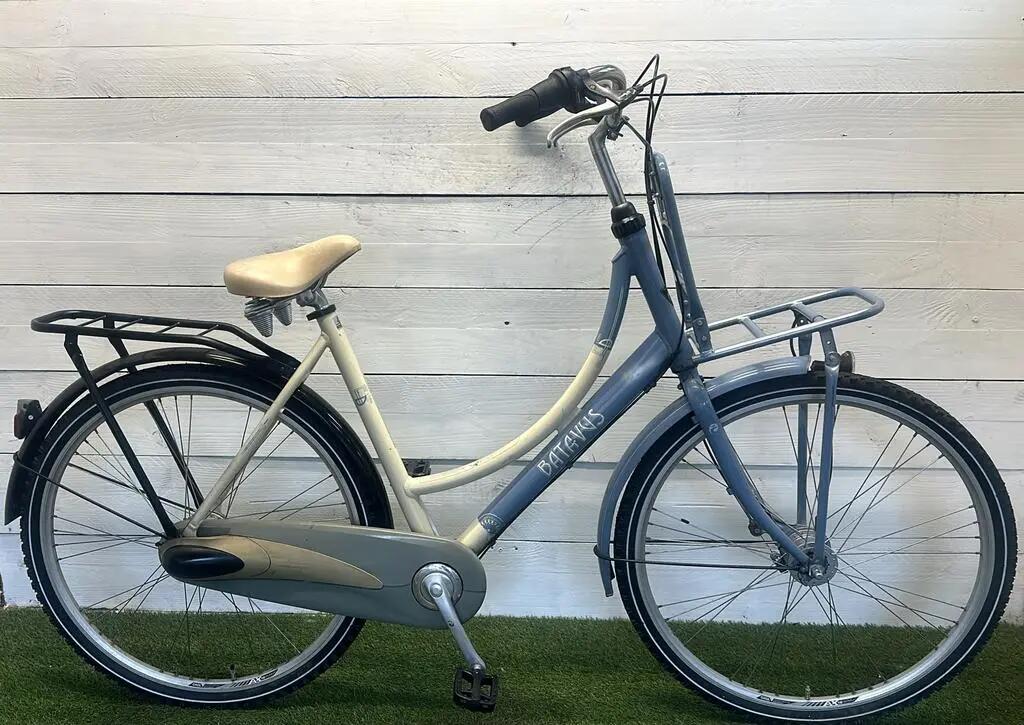 BATAVUS picture