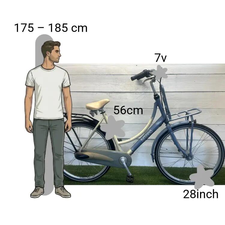 Bicicleta usada Batavus Flying 2/4