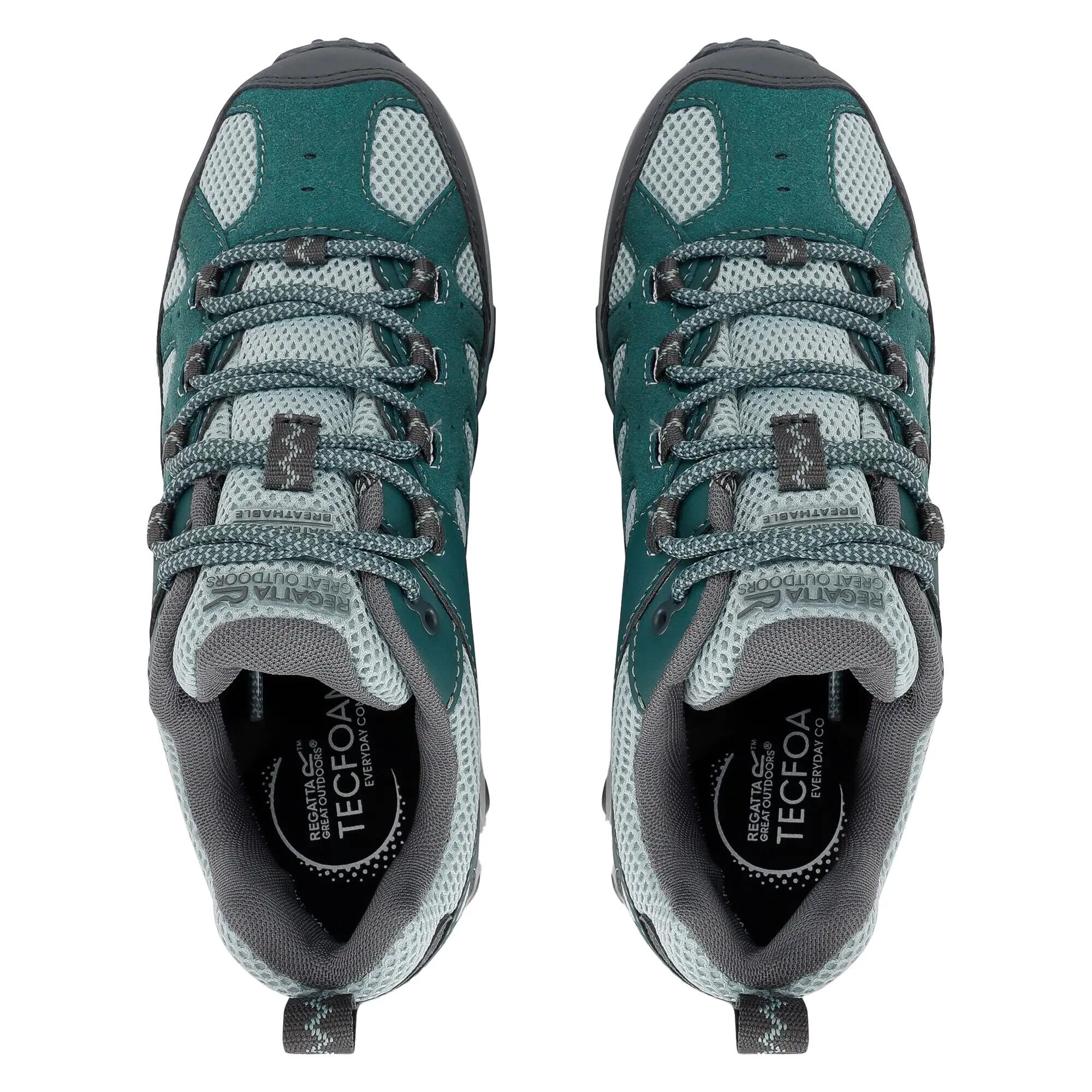 Calçado de caminhada Edgepoint IV Low para senhora/senhora (Verde Spruce/Verde 6/7