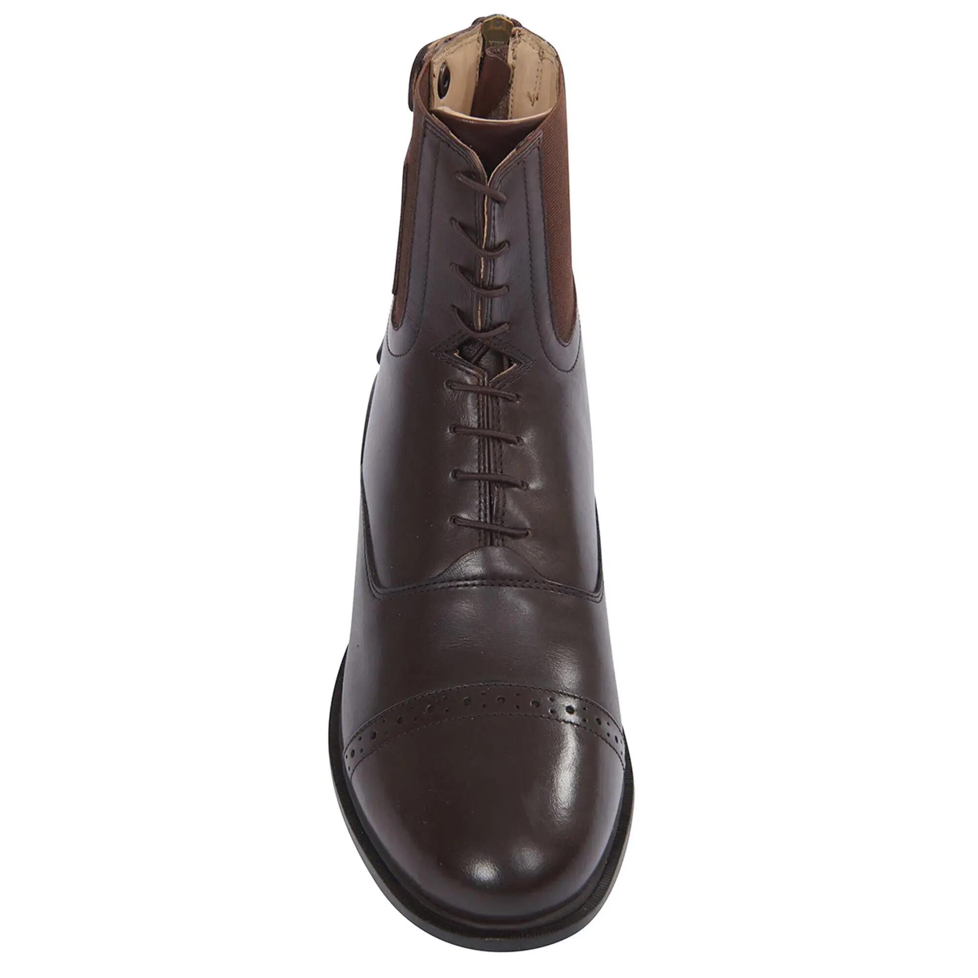 Bottes De Paddock EVOLUTION Unisexe (Marron) 7/7