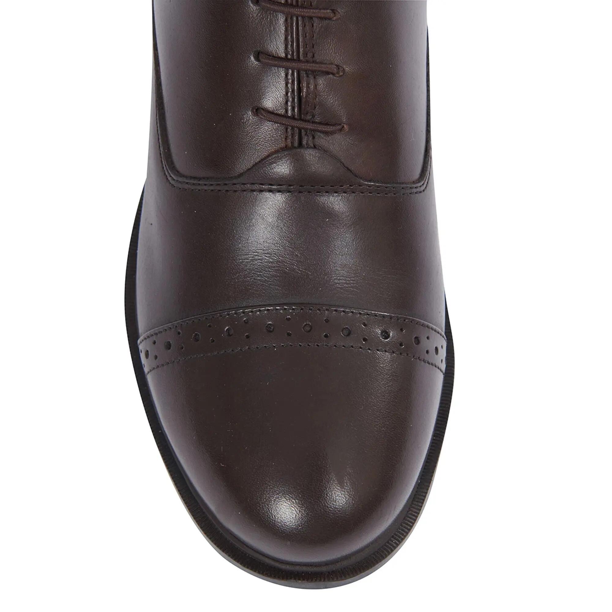Bottes De Paddock EVOLUTION Unisexe (Marron) 6/7