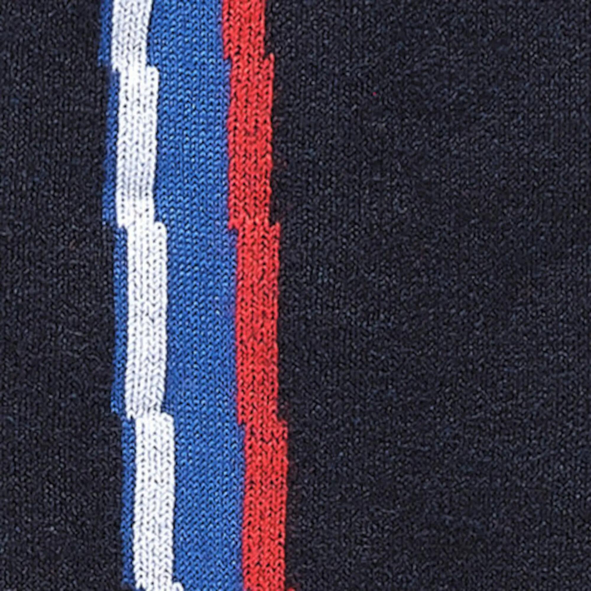 Gambaletti Falke SK2 Wool 13/13