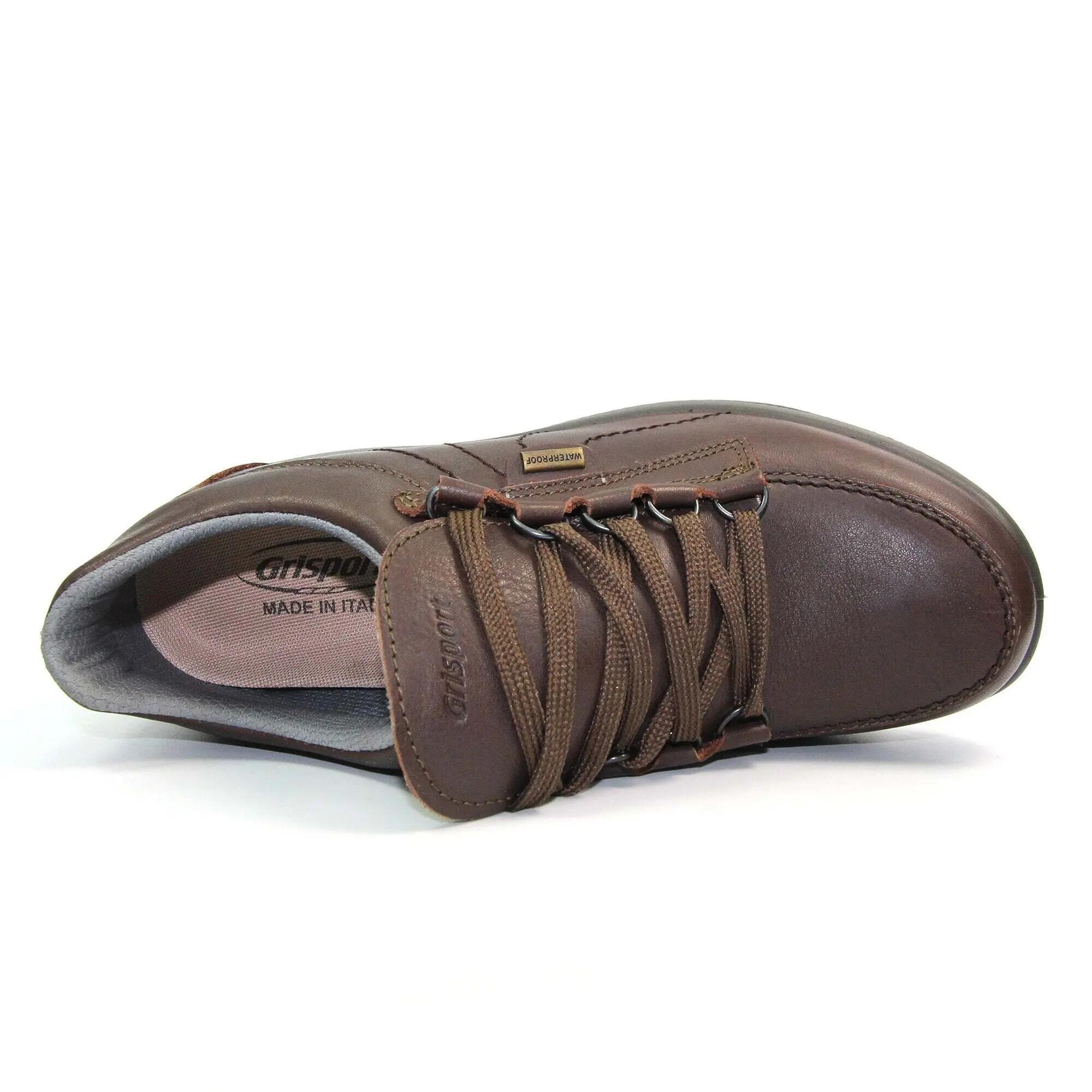 Chaussures De Marche KIELDER Homme (Marron) 5/6