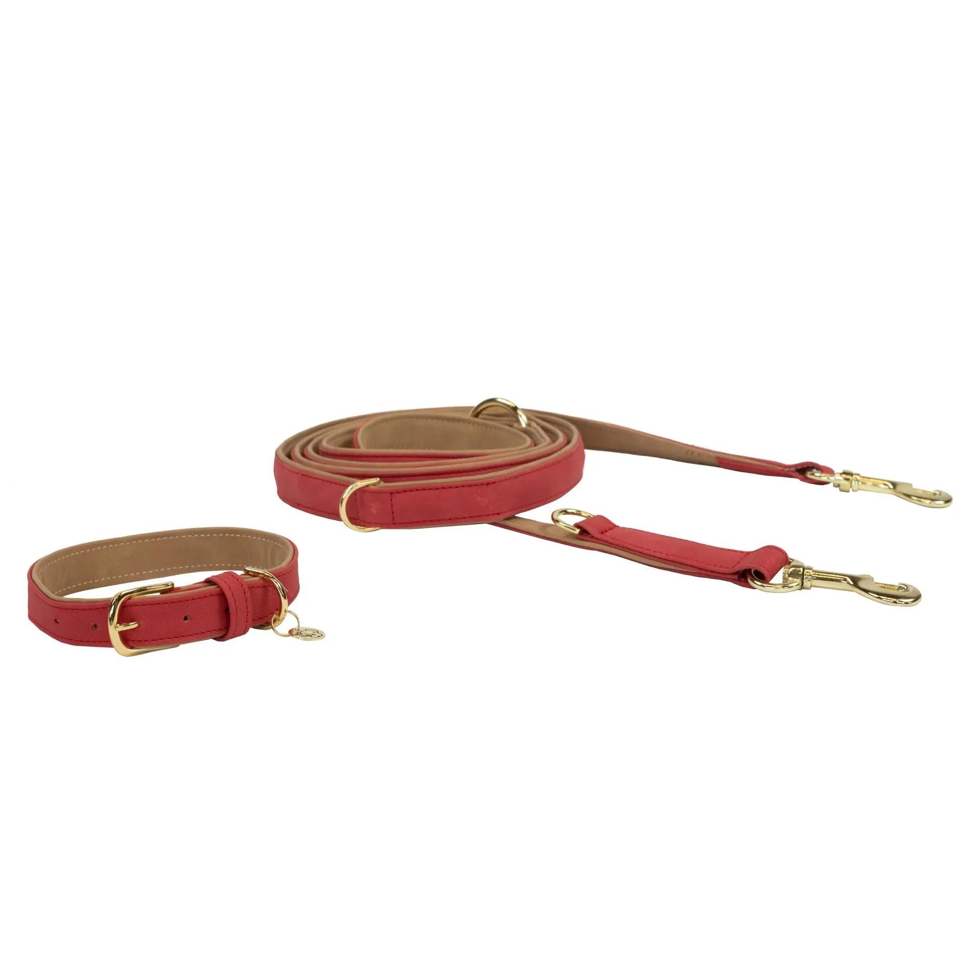 Collier pour chien Vegan Leather - Kentucky 6/7