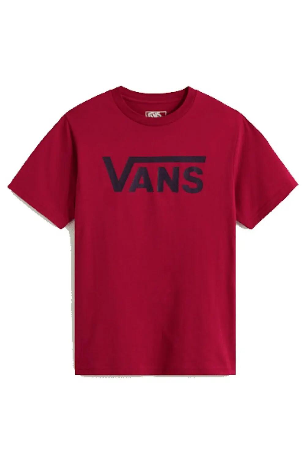 VANS picture