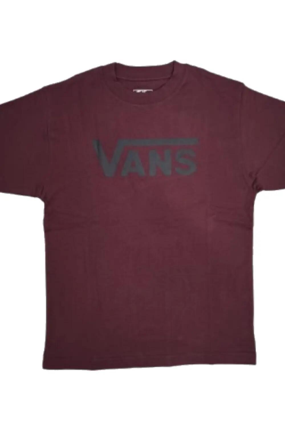 VANS picture