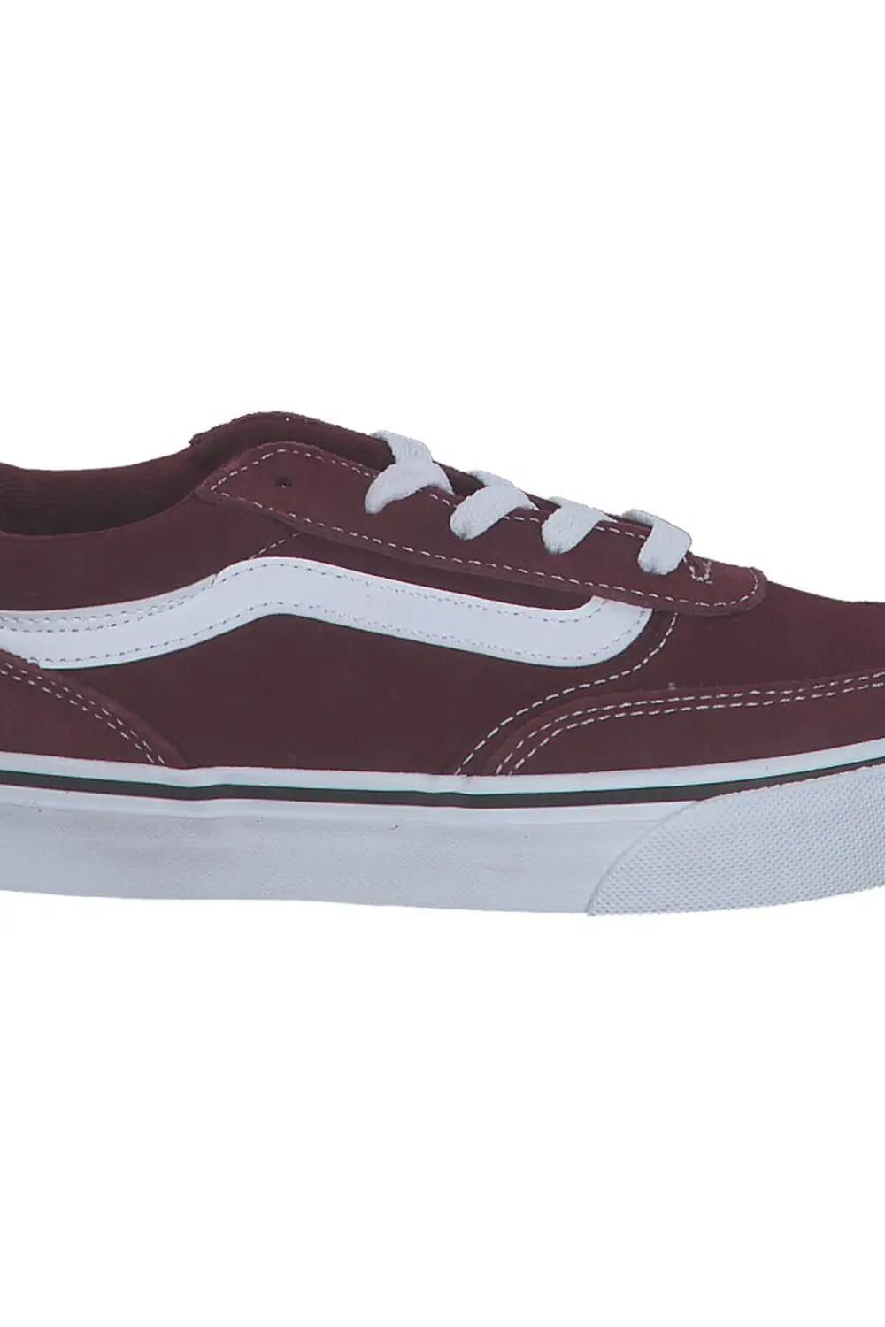 VANS picture
