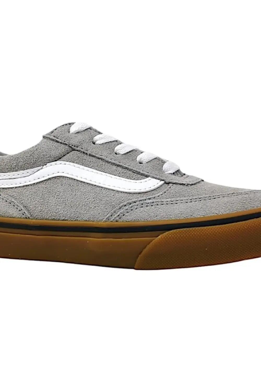 VANS picture