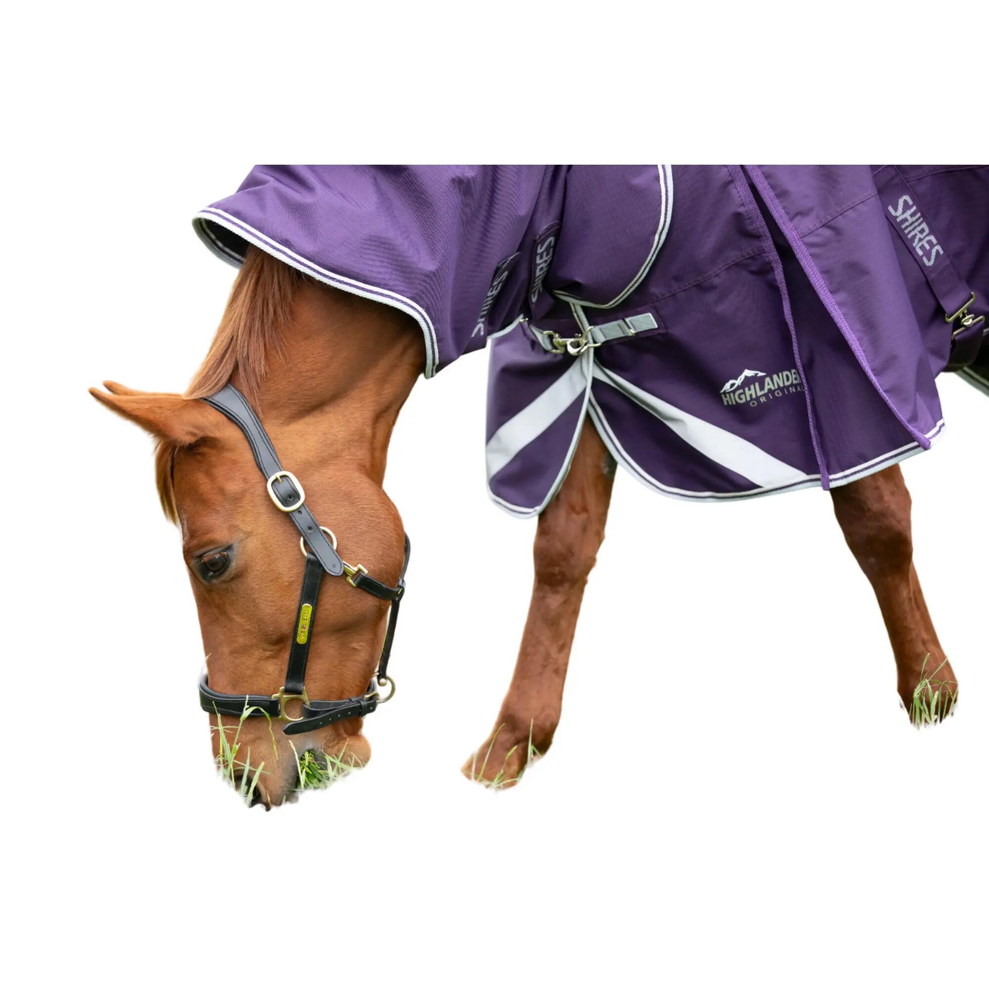 Coperta E Copricollo Per Cavalli Shires Highlander Original Prugna 5/5