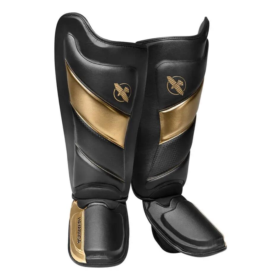HAYABUSA picture