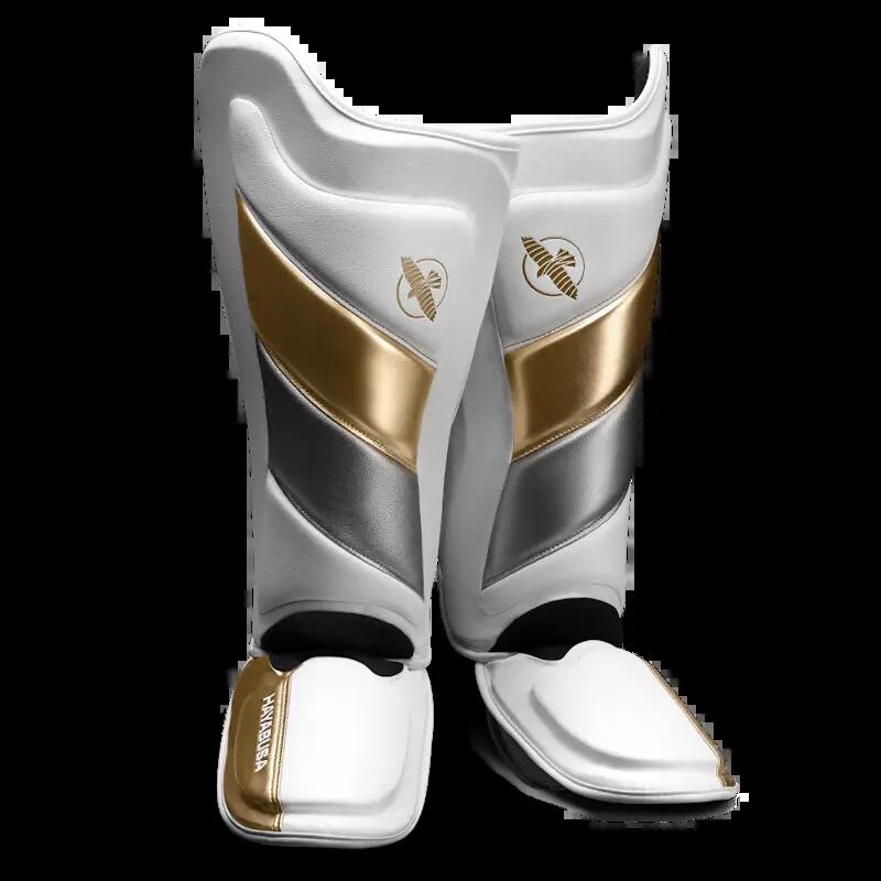 HAYABUSA picture