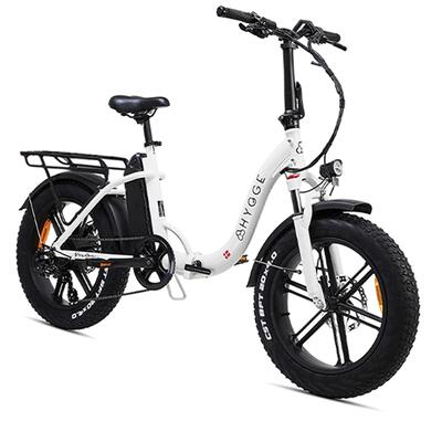 Vester Step 2026 - E-Bike pieghevole Fat Tire 48V 14Ah - Heron White