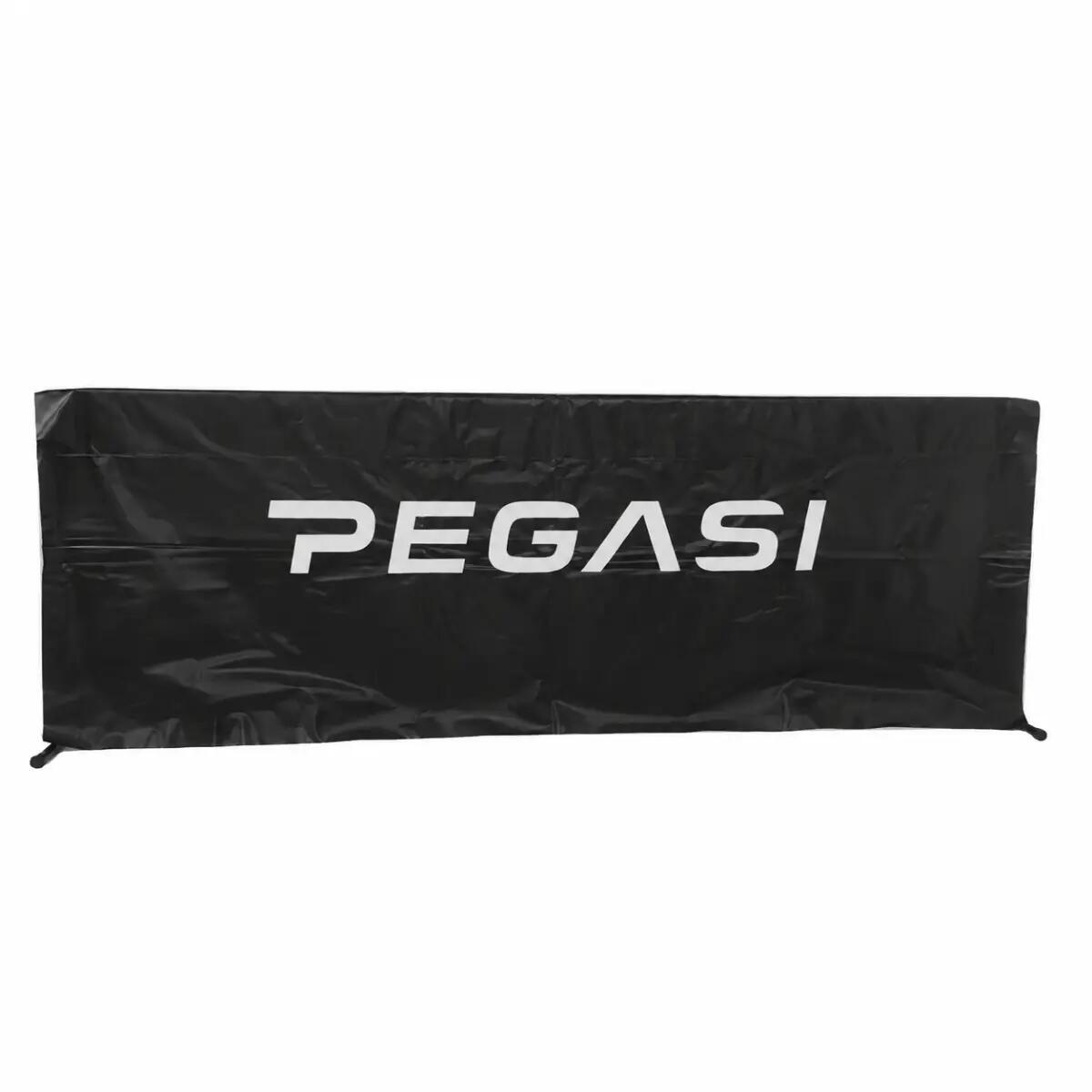 PEGASI picture