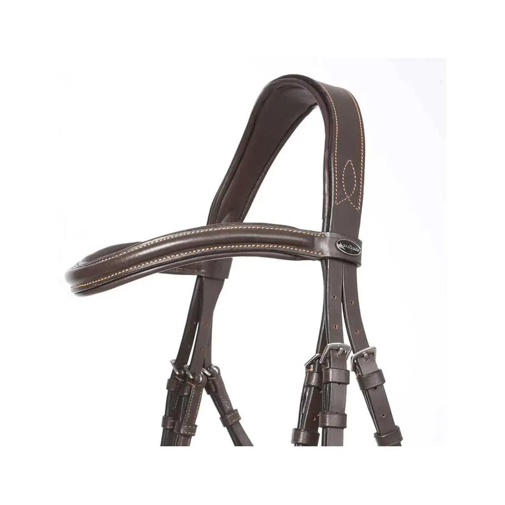 Bridles for horses Kavalkade Ivy
