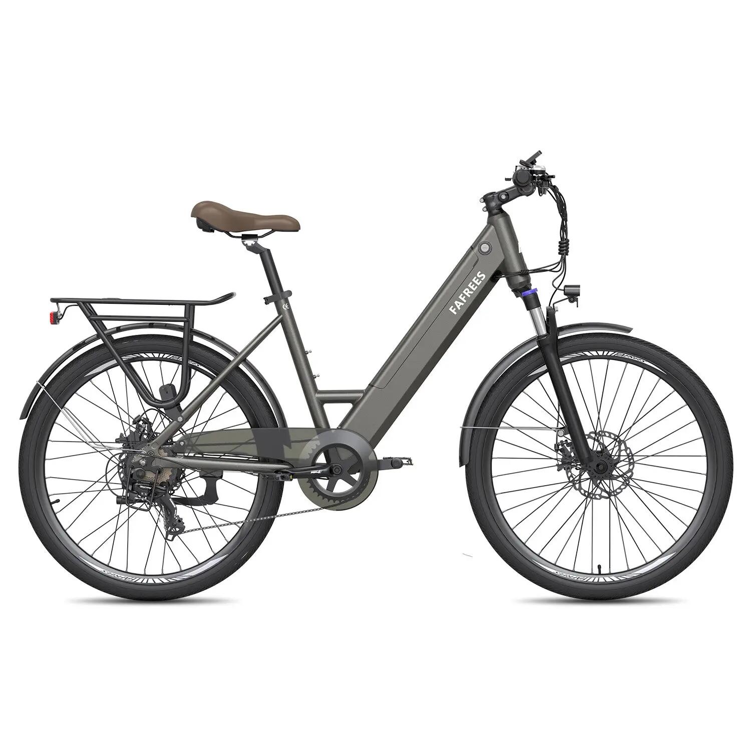 FAFREES F26 PRO Vélo Électrique 250W Batteries 36V15Ah Gris 4/5