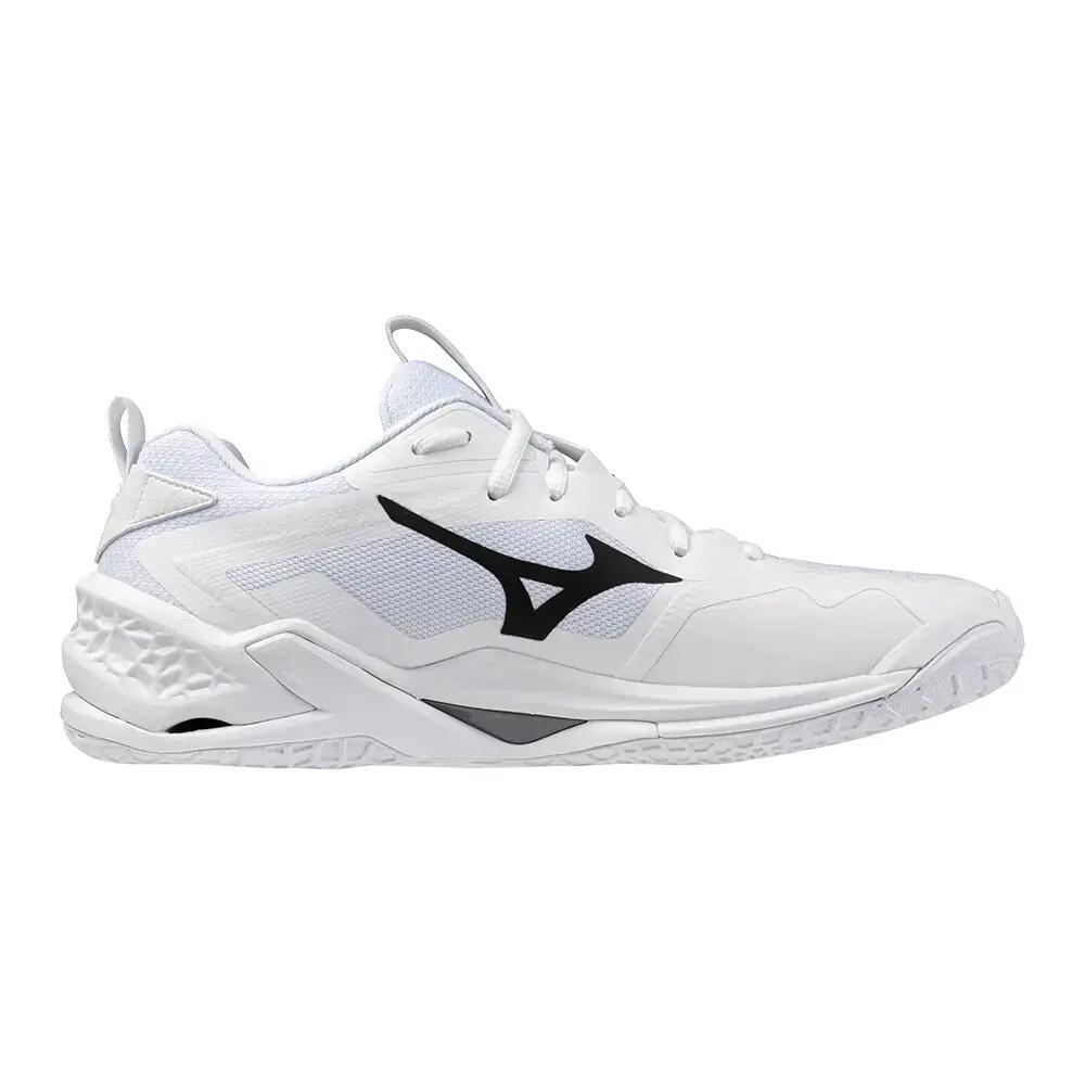 MIZUNO picture