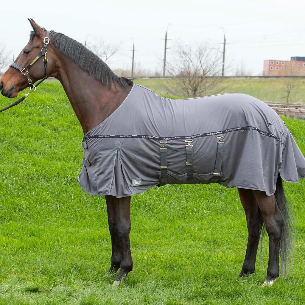 Fly Blanket Harry's Horse Mesh Pro Belly