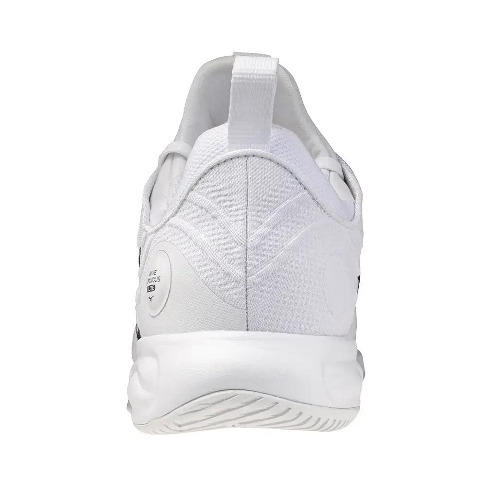 Hallenschuhe Mizuno Wave Luminous Elite 4/5