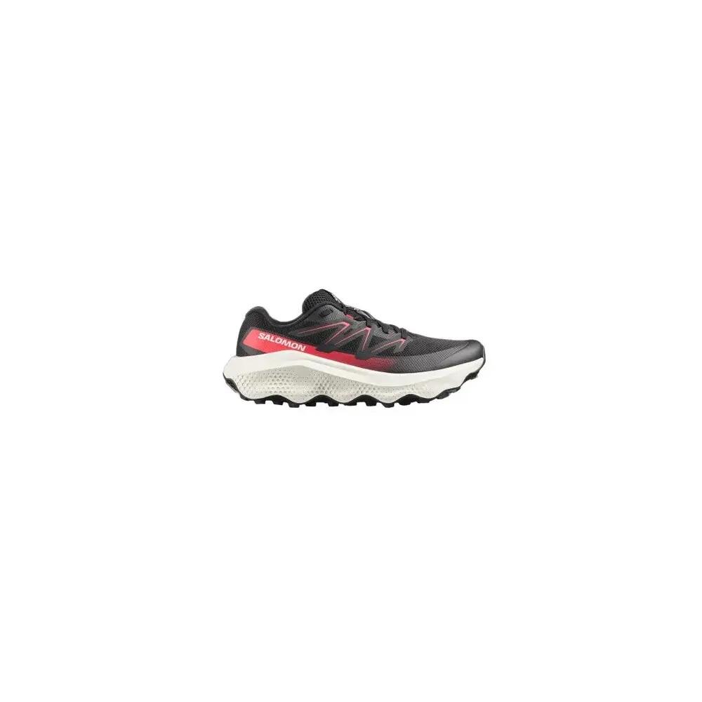 SALOMON picture