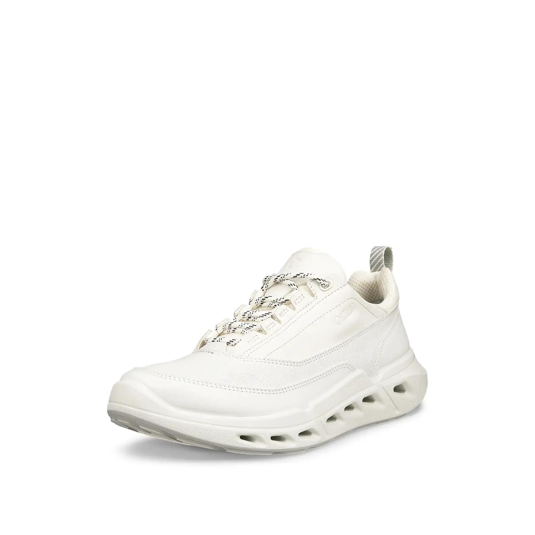 Damen Sneakers Ecco Biom 720 Lea GTXS 2/7