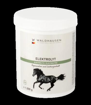 Elektrolyt - Regeneration und Leistungserhalt, 1kg