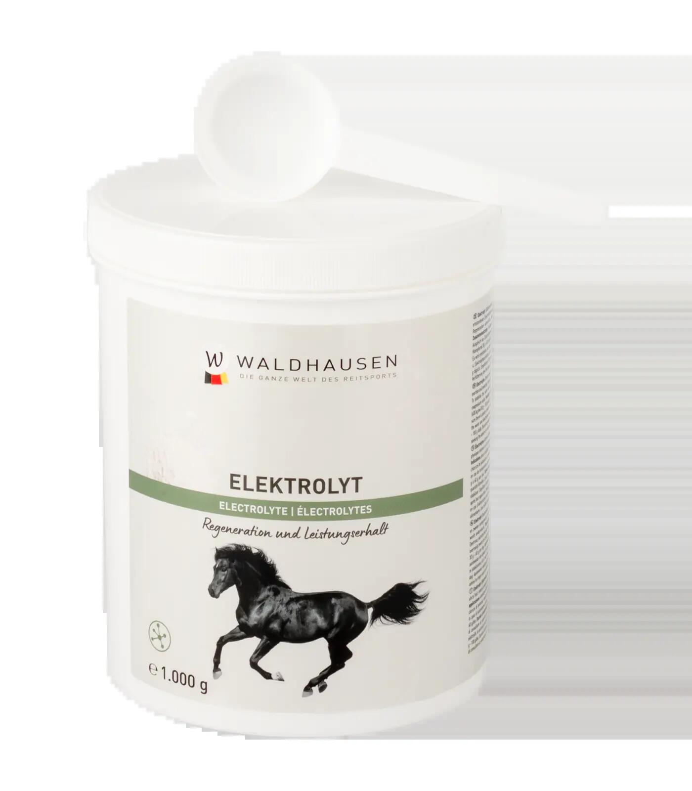Elektrolyt - Regeneration und Leistungserhalt, 1kg 4/5