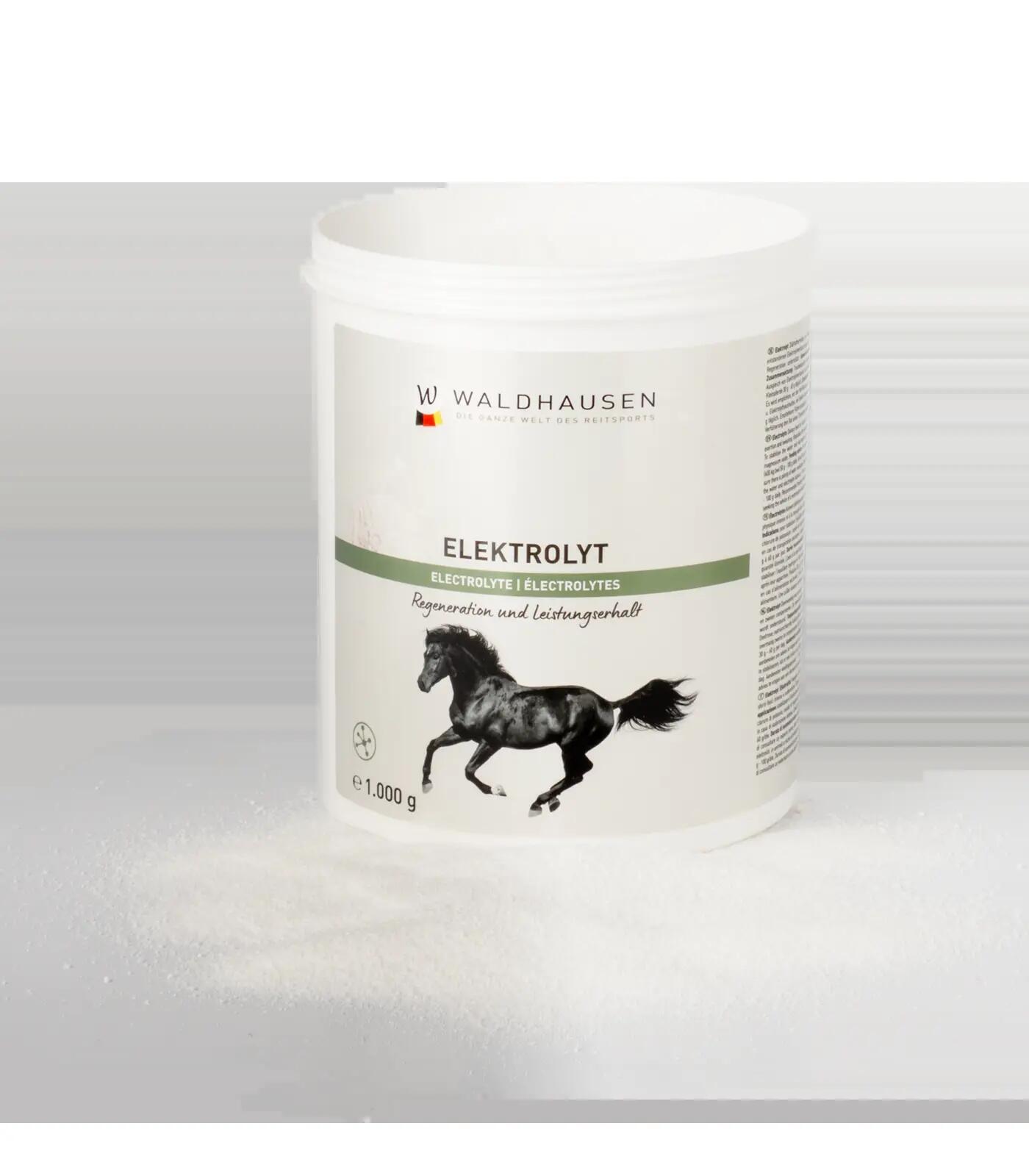 Elektrolyt - Regeneration und Leistungserhalt, 1kg 3/5