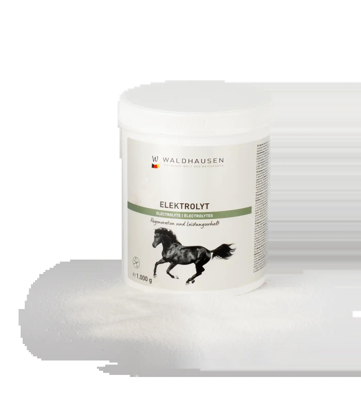 Elektrolyt - Regeneration und Leistungserhalt, 1kg 2/5