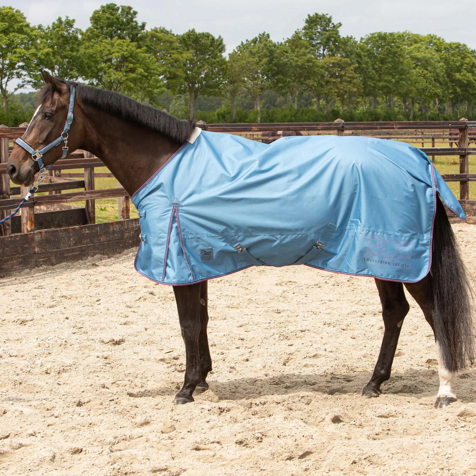 HARRYS HORSE picture