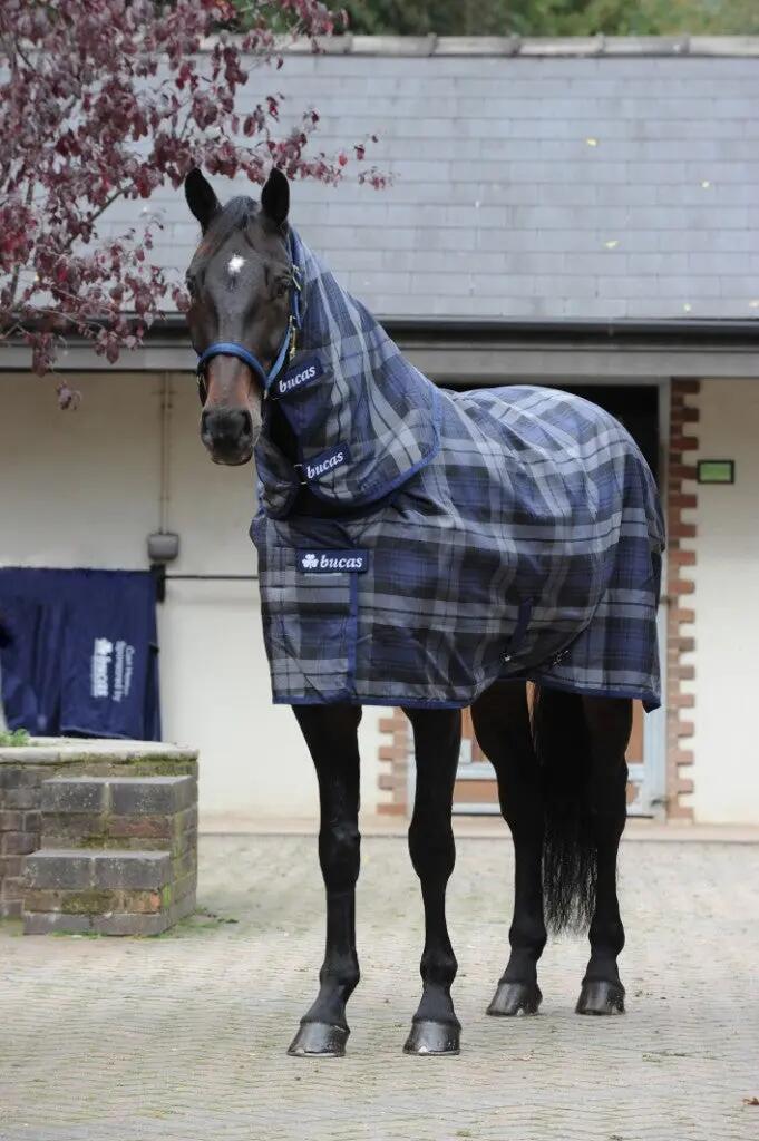 Bucas Celtic Stable Light 2/15
