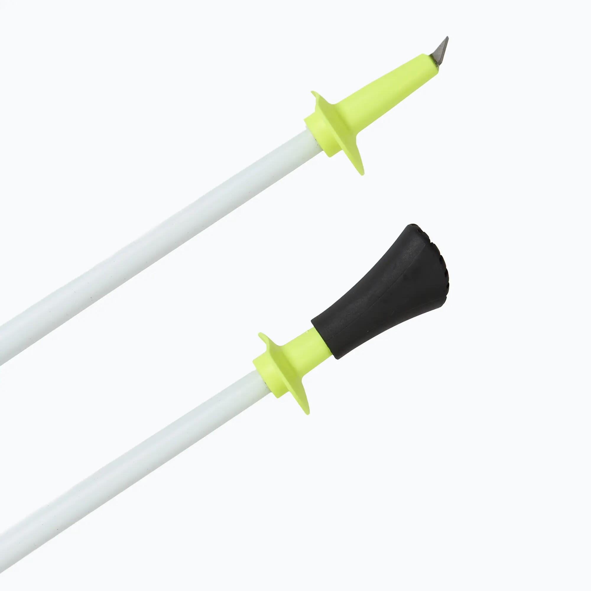 Kije nordic walking Fizan Carbon Race 5/7