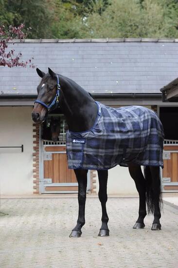 Bucas Celtic Stable Extra