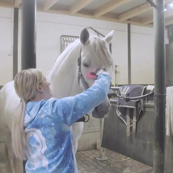 Paardenpraat Grooming Brush Roze M 2/3