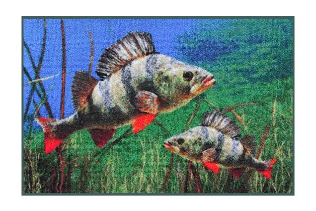 DELPHIN picture