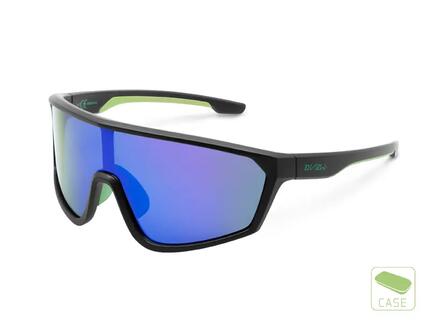 Lunettes polarisantes VIEW