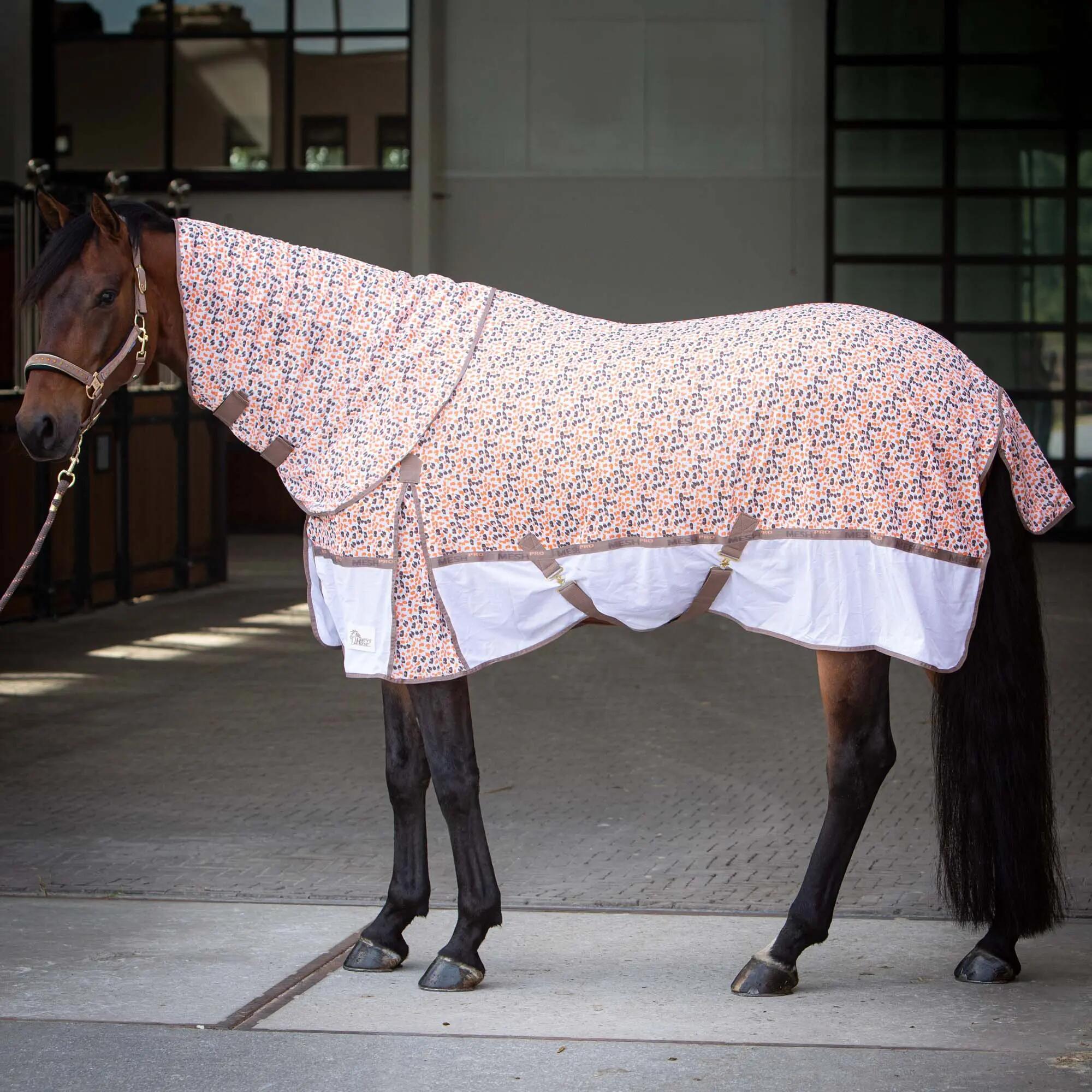 HARRYS HORSE picture