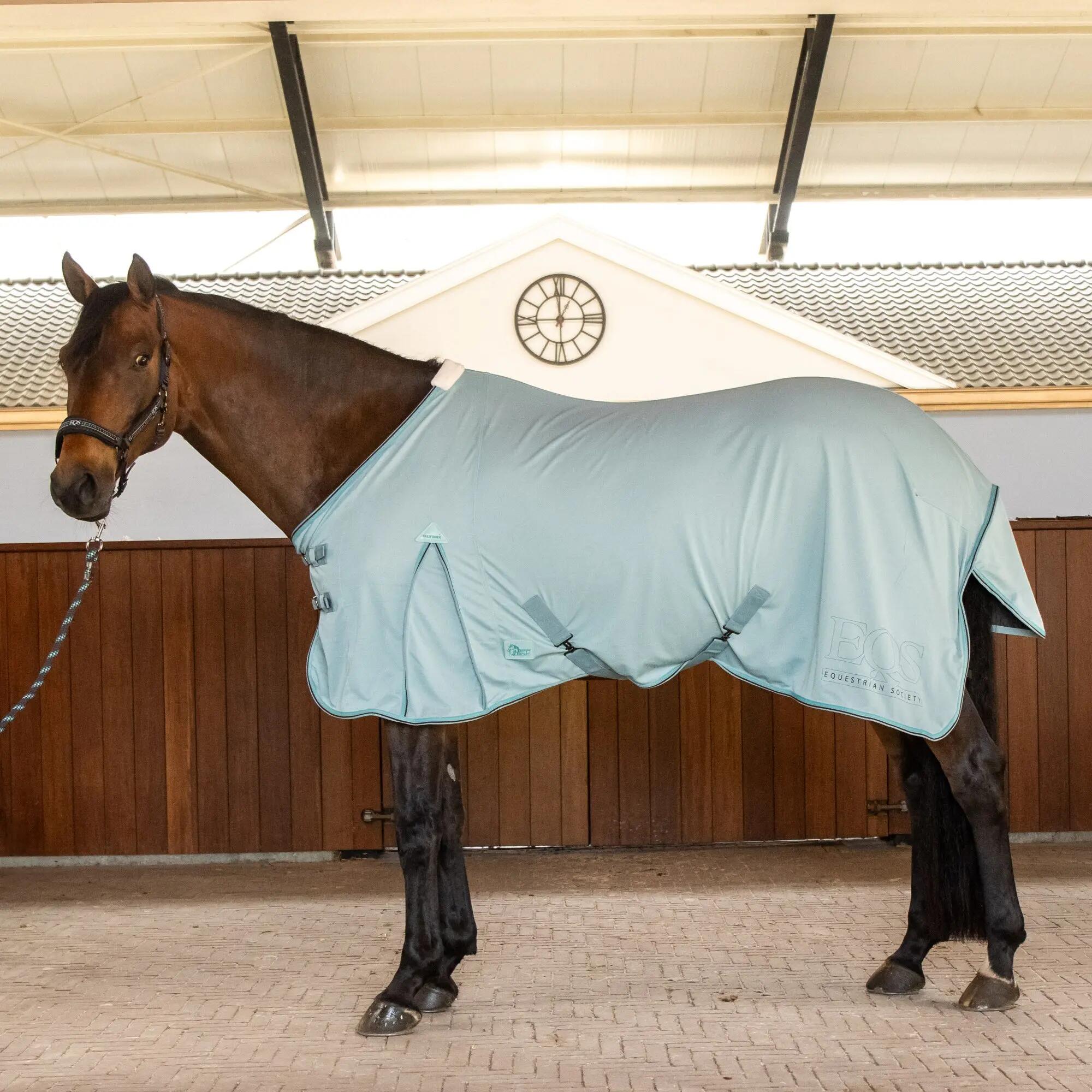 HARRYS HORSE picture