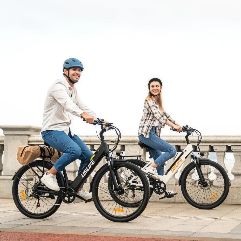 Stads elektrische fiets URLIFE E26 48V 10.4Ah accu afneembaar volwassen 5/14